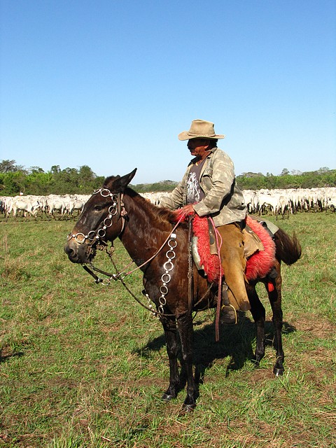 Lucio - Pantanal Cowboy