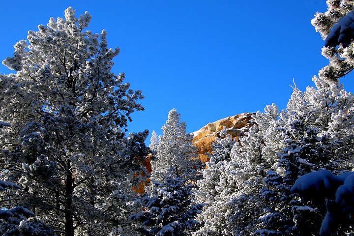 Frosty Morning