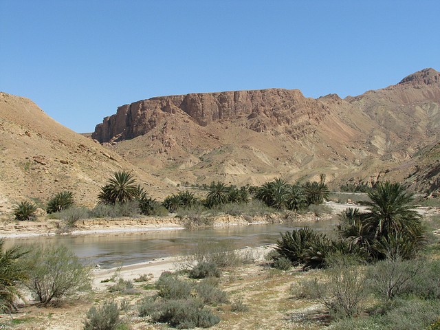 Seldja Gorge From Train