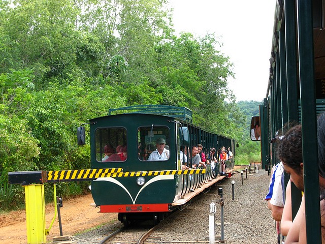 Train to the Falls