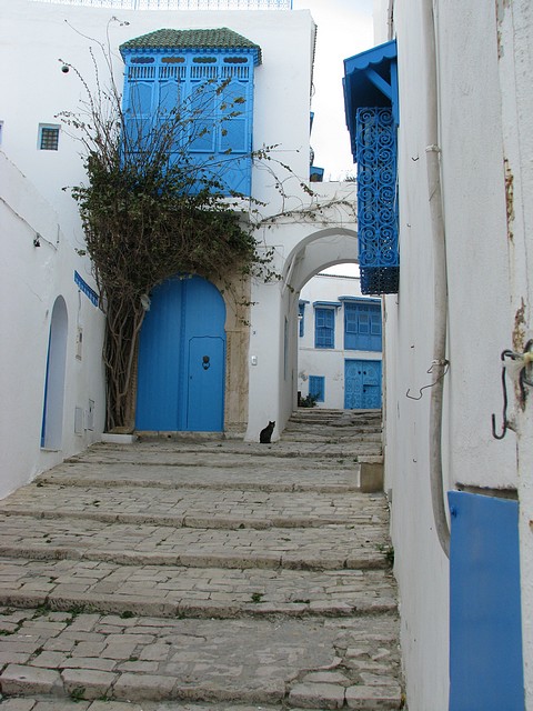 Seaside Village of Sidi Bou Said