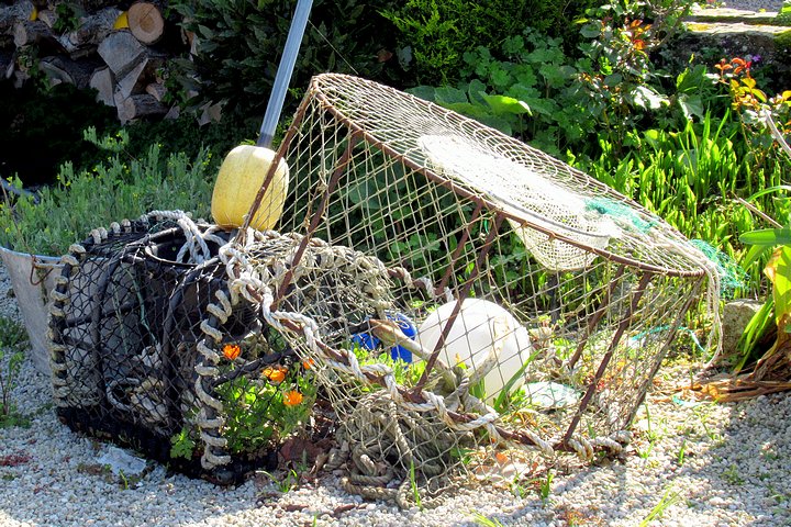 Fish Traps