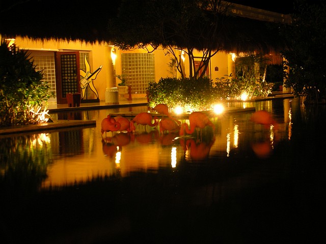 Iberostar Paraiso del Mar Resort - Flamingos