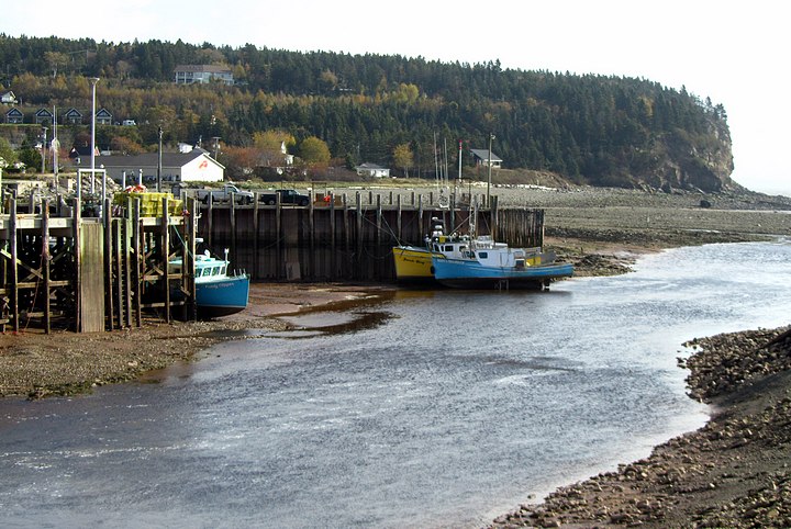 Alma Harbor at Low Tide