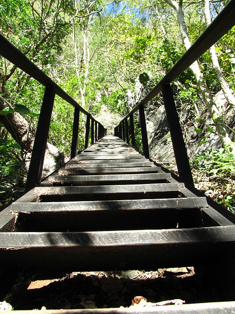 876 Steps to the Top