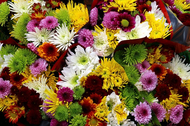 Beautiful Flowers