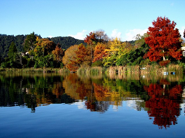New Zealand Fall Colors