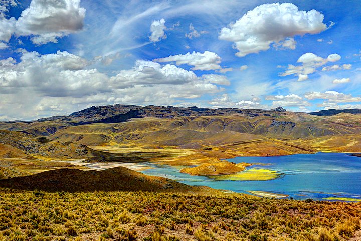 Lagunillas