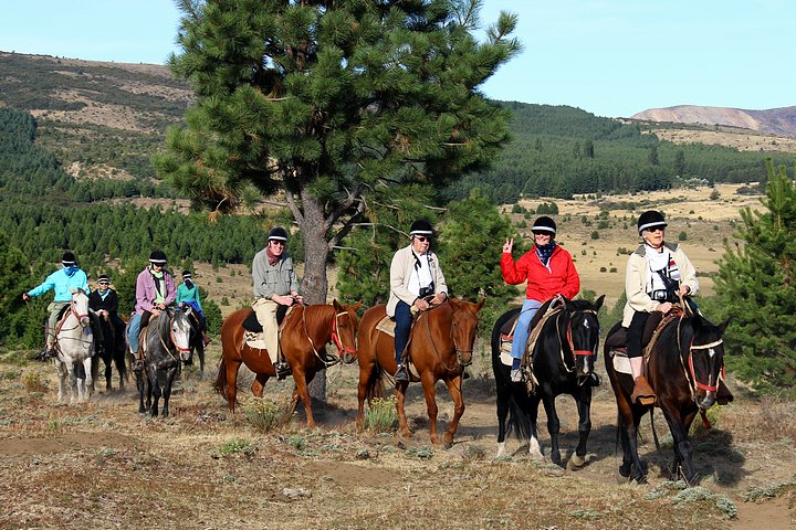 Horseback Riders