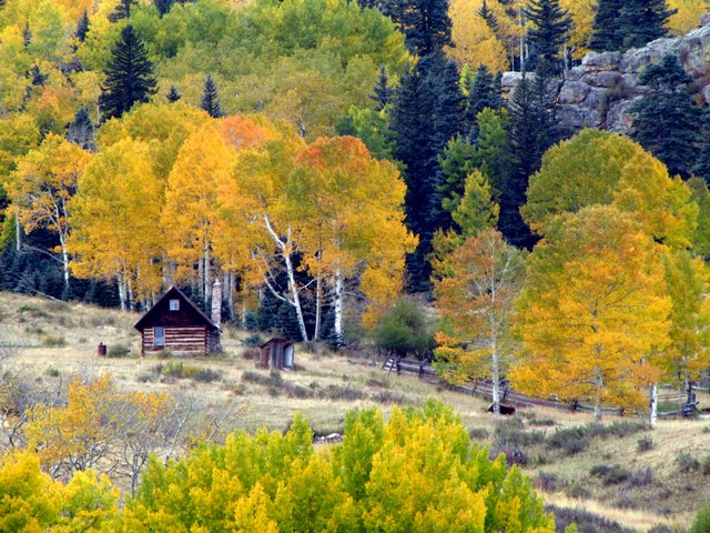Homesteader Cabin – Colorado Route 12