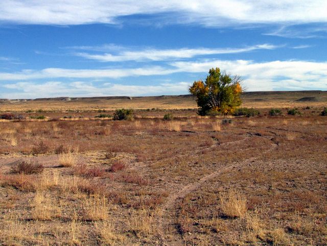 Plains of Wyoming
