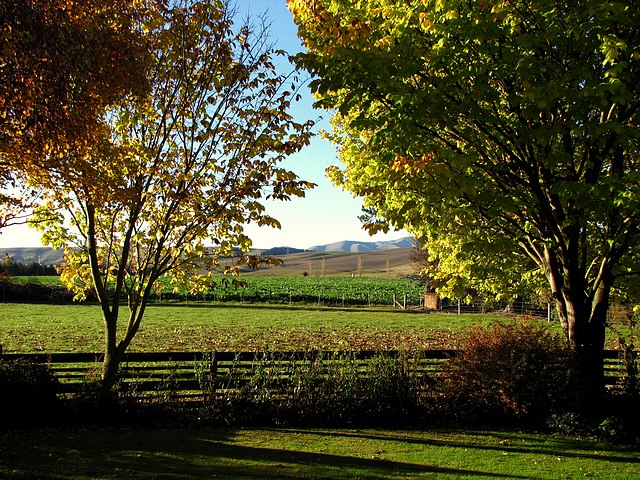 Fall at Moralea Sheep Ranch