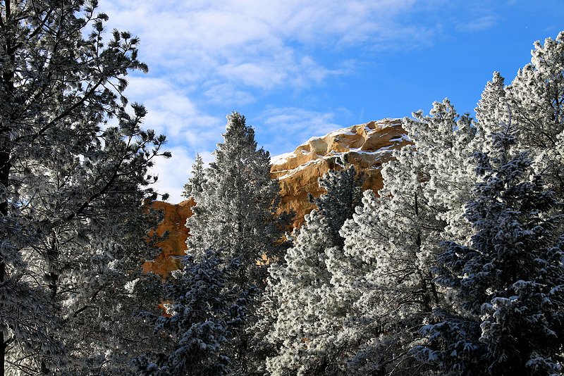 Elephant Rock in Winter