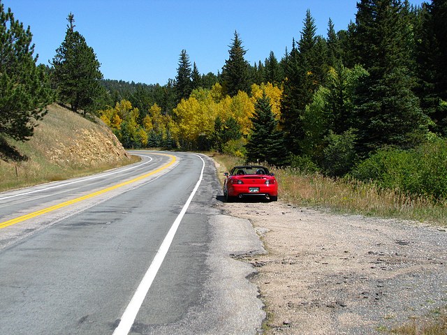 Few Golden Aspen Changing Color