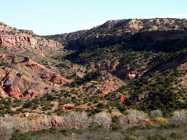 Canyon at Palo Duro