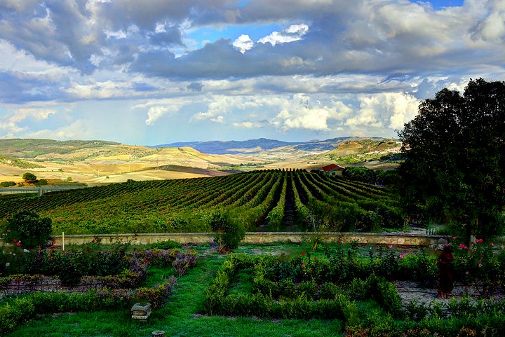 Gigliotto Vineyards 