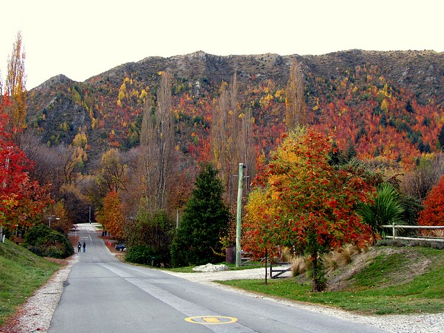 Fall Colors in Arrowtown
