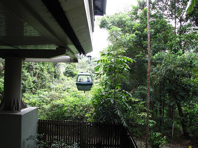 Skyrail Rainforest Cableway