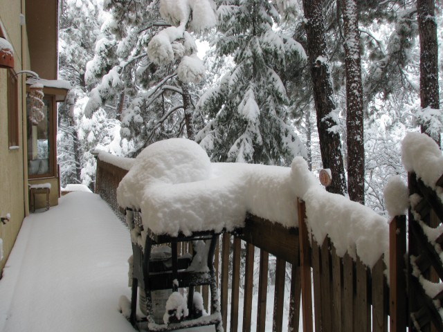 Back Deck