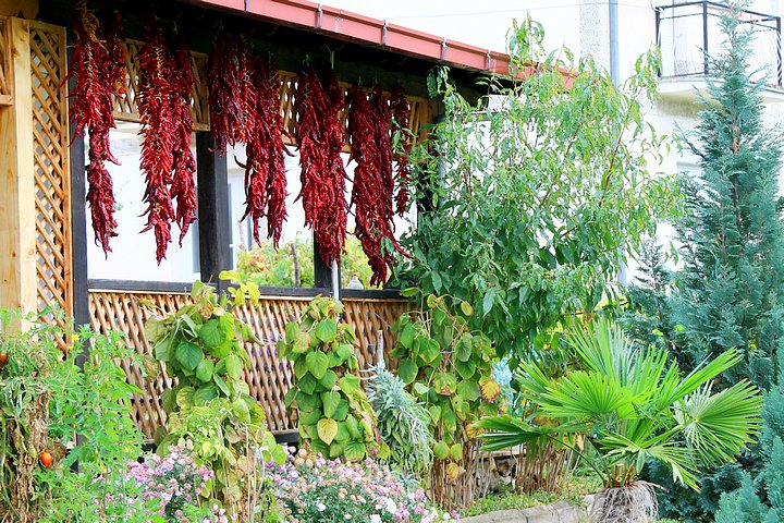 Drying Chili Peppers