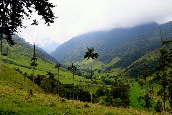 Cocora National Park