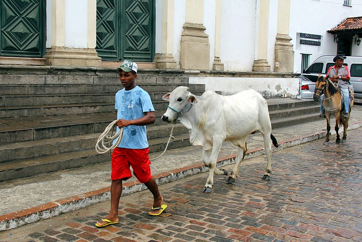 Village Life