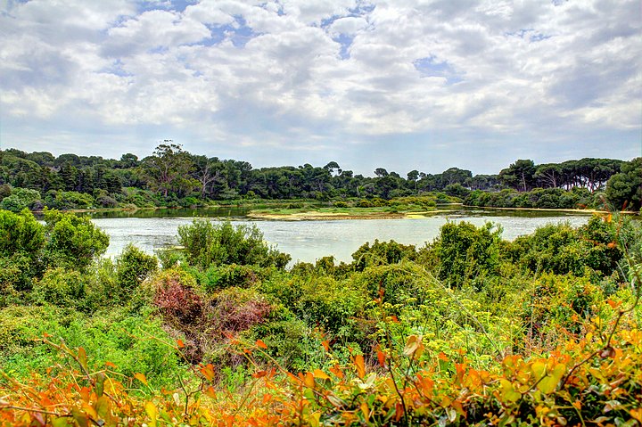 Bateguier Pond on Ste. Marguerite