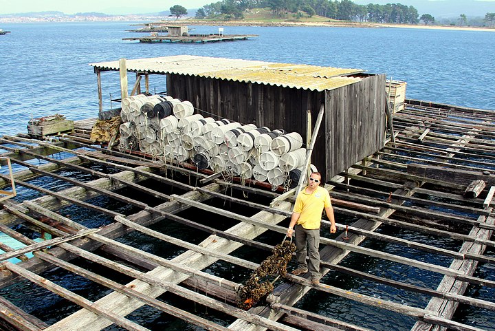 Mussel Raft