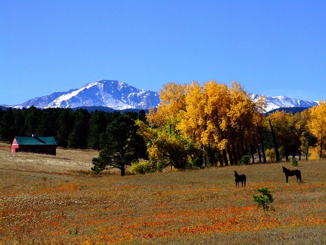Fall at Palmer Divide