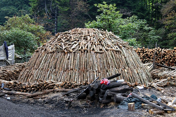 Charcoal Woodpile