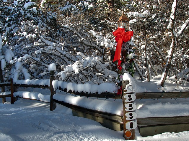 Snowy Welcome