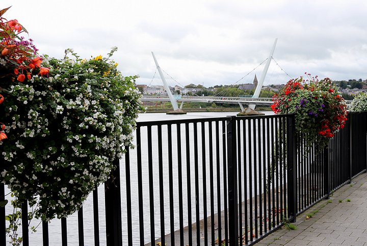 Peace Bridge