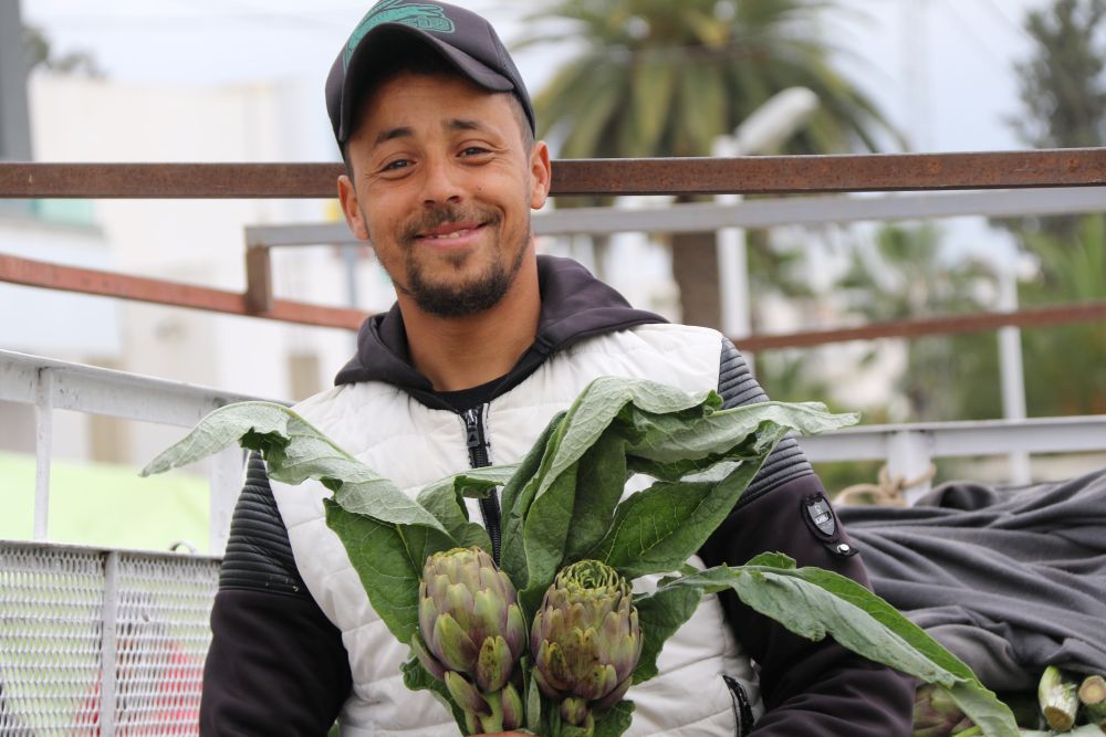 Artichoke Vendor, Testour