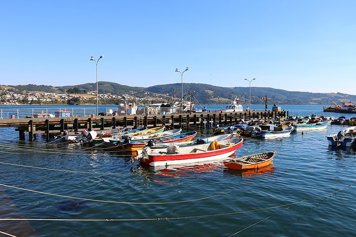 Fishing Boats in the Harbor of Ancud