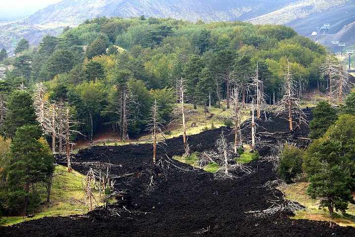 Path of 2002 Lava Flow