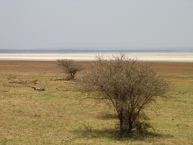 Drought in Africa