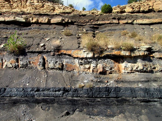 Coal Vein  – Colorado 12