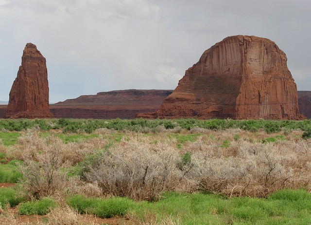 Rock Formations by Chinle