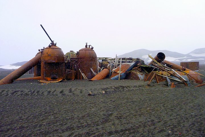 Whaling Station Ruins