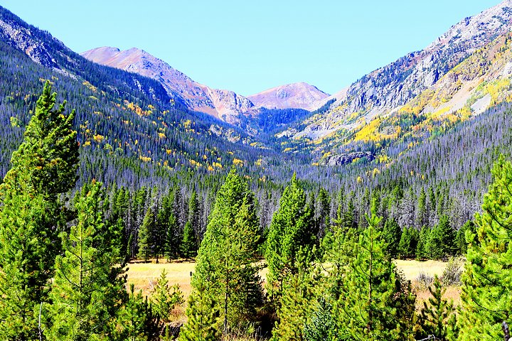 Golden Fall