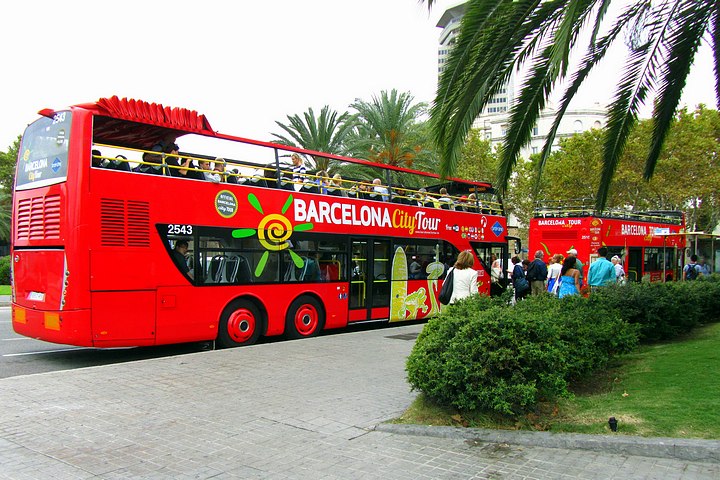 City Tour Buses