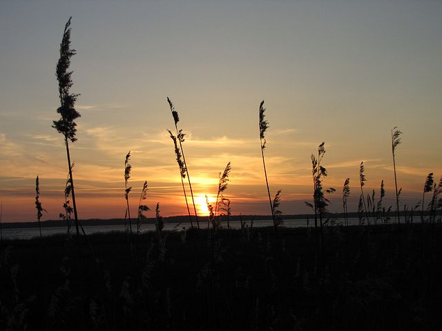 Sunset over the Fjord