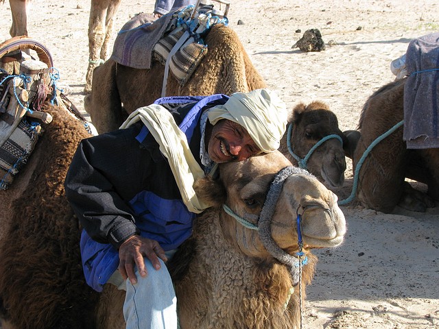 Camel and his Driver