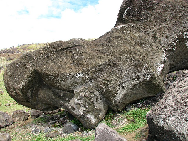Fallen Moai at Akahanga