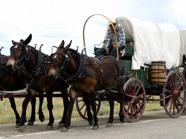 Covered Wagon on the Oregon Trail