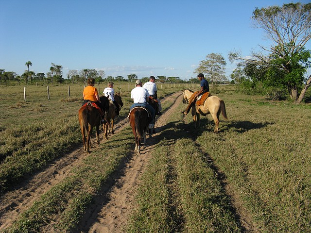 Afternoon Horseback Ride
