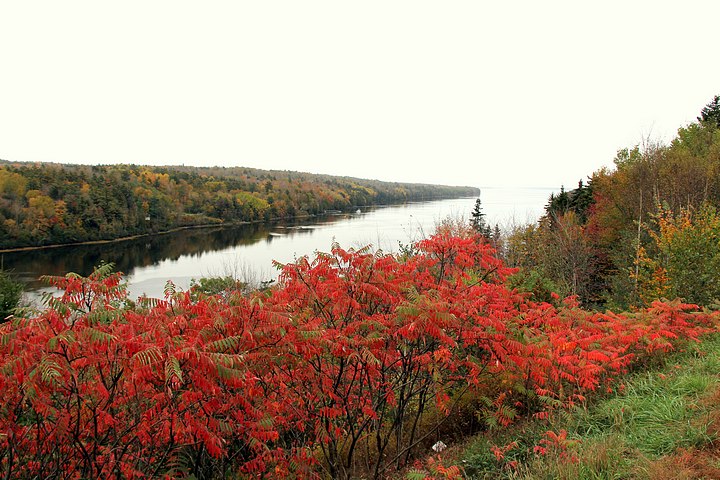 Penobscot River from Expedition Scenic Overlook