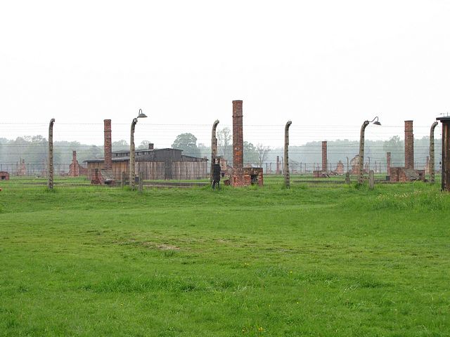Birkenau Chimneys
