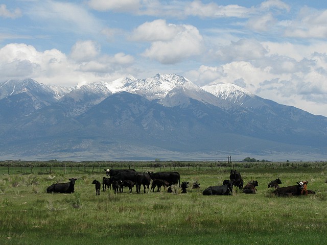 Looking East at Blanca Peak 