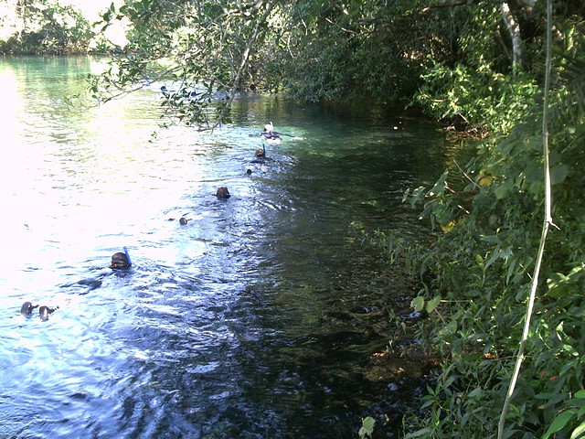 Snorkeling in Line 